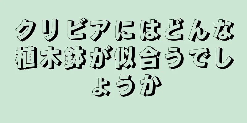 クリビアにはどんな植木鉢が似合うでしょうか