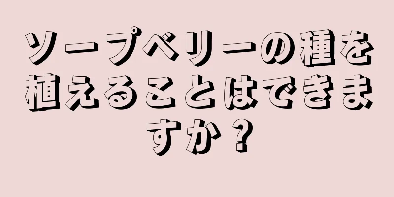 ソープベリーの種を植えることはできますか？
