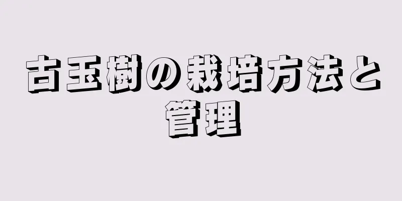 古玉樹の栽培方法と管理