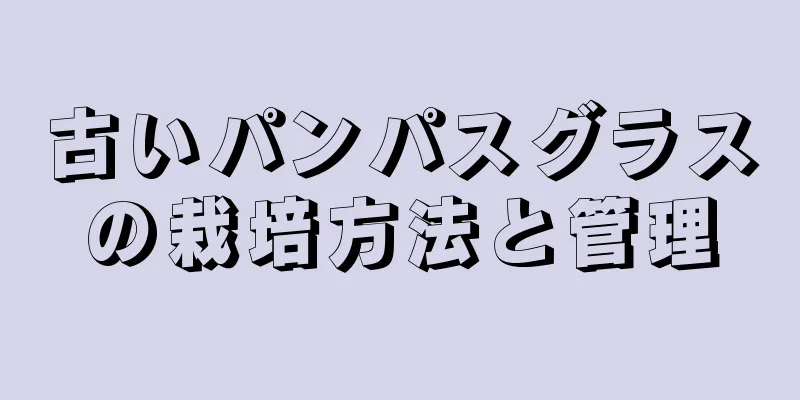 古いパンパスグラスの栽培方法と管理