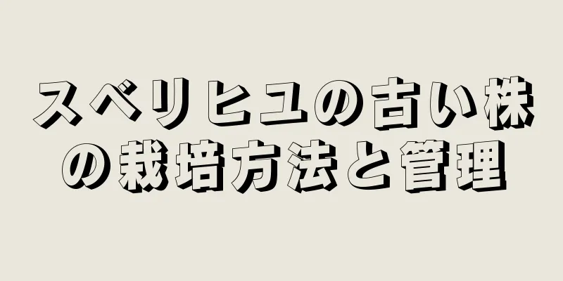 スベリヒユの古い株の栽培方法と管理