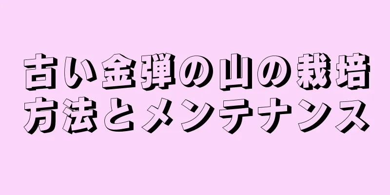 古い金弾の山の栽培方法とメンテナンス