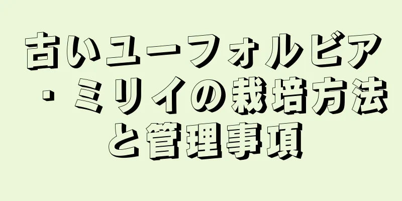 古いユーフォルビア・ミリイの栽培方法と管理事項