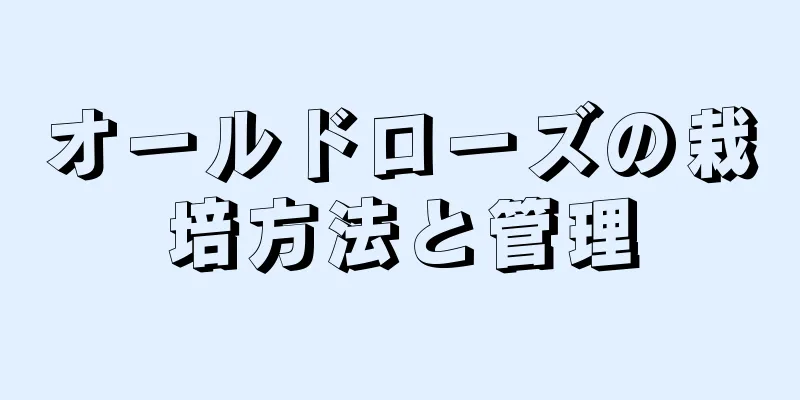オールドローズの栽培方法と管理