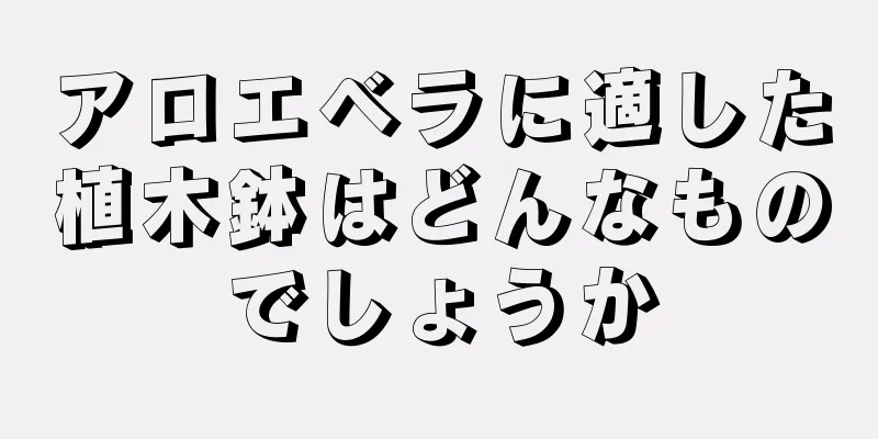 アロエベラに適した植木鉢はどんなものでしょうか
