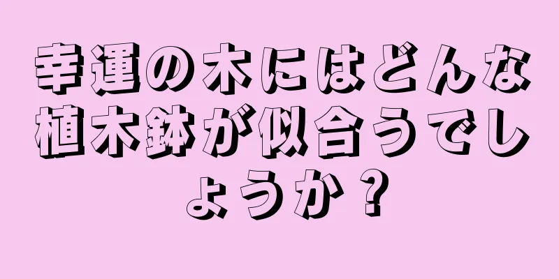 幸運の木にはどんな植木鉢が似合うでしょうか？