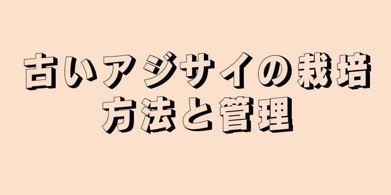 古いアジサイの栽培方法と管理