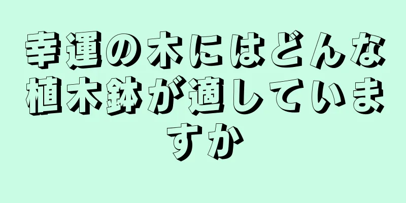 幸運の木にはどんな植木鉢が適していますか