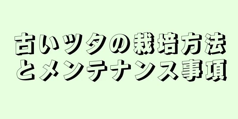 古いツタの栽培方法とメンテナンス事項