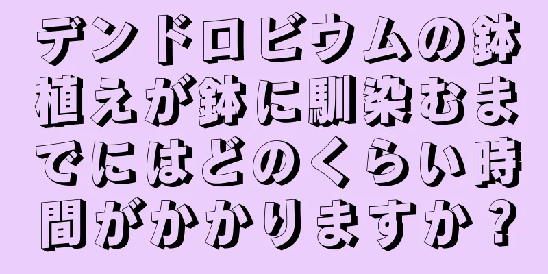 デンドロビウムの鉢植えが鉢に馴染むまでにはどのくらい時間がかかりますか？