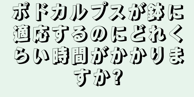 ポドカルプスが鉢に適応するのにどれくらい時間がかかりますか?