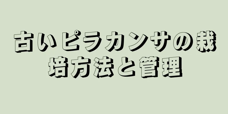 古いピラカンサの栽培方法と管理