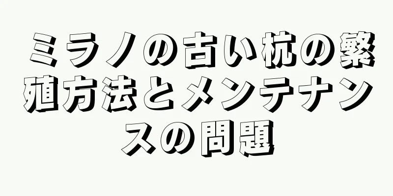 ミラノの古い杭の繁殖方法とメンテナンスの問題