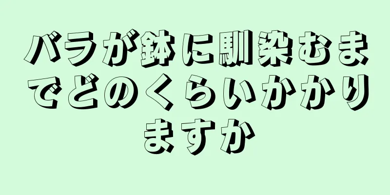 バラが鉢に馴染むまでどのくらいかかりますか