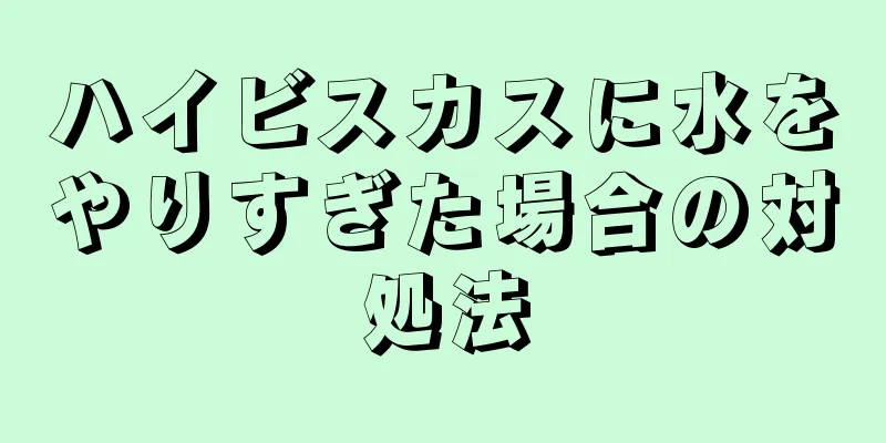ハイビスカスに水をやりすぎた場合の対処法