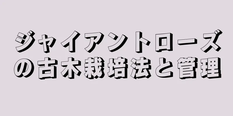 ジャイアントローズの古木栽培法と管理