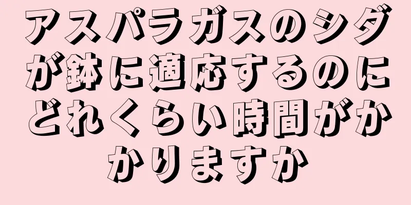 アスパラガスのシダが鉢に適応するのにどれくらい時間がかかりますか