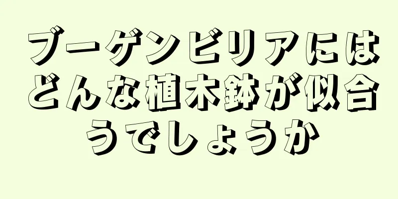 ブーゲンビリアにはどんな植木鉢が似合うでしょうか