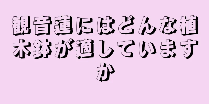 観音蓮にはどんな植木鉢が適していますか