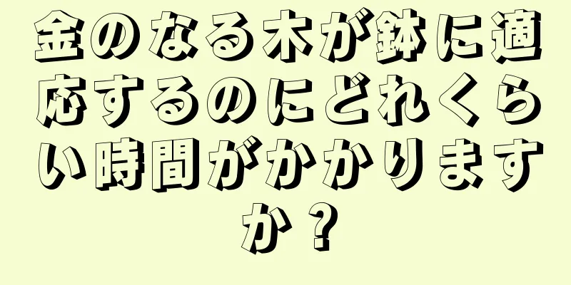 金のなる木が鉢に適応するのにどれくらい時間がかかりますか？