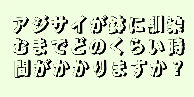 アジサイが鉢に馴染むまでどのくらい時間がかかりますか？