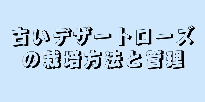 古いデザートローズの栽培方法と管理