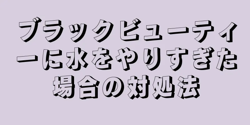 ブラックビューティーに水をやりすぎた場合の対処法