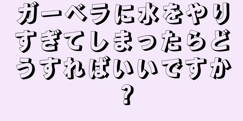 ガーベラに水をやりすぎてしまったらどうすればいいですか？