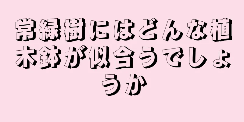 常緑樹にはどんな植木鉢が似合うでしょうか