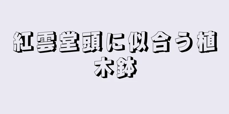 紅雲堂頭に似合う植木鉢