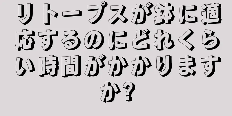 リトープスが鉢に適応するのにどれくらい時間がかかりますか?