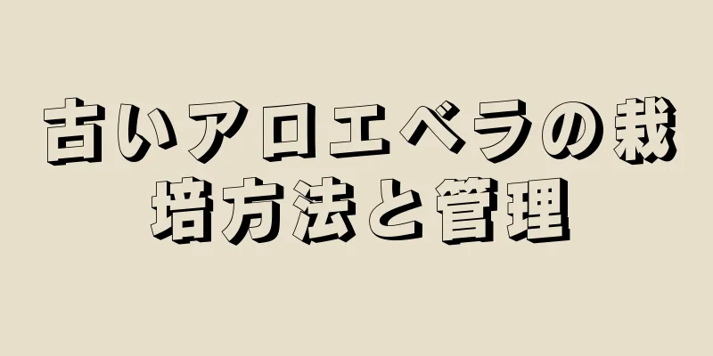 古いアロエベラの栽培方法と管理