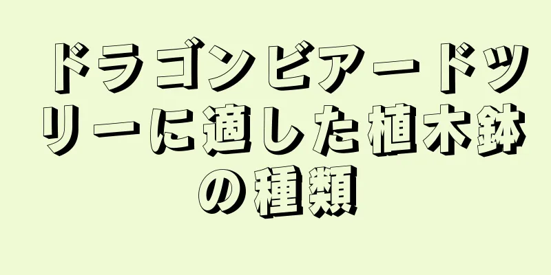 ドラゴンビアードツリーに適した植木鉢の種類