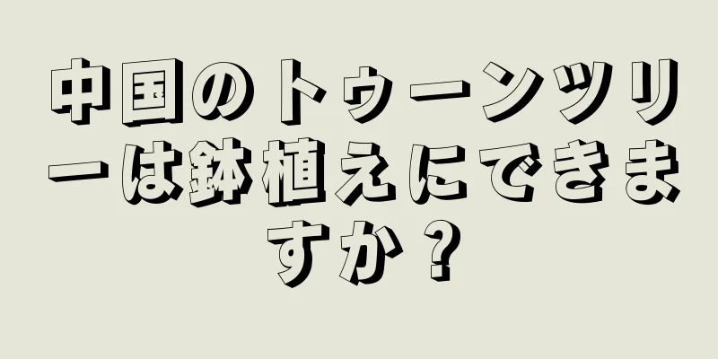中国のトゥーンツリーは鉢植えにできますか？