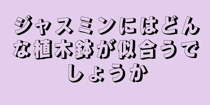 ジャスミンにはどんな植木鉢が似合うでしょうか