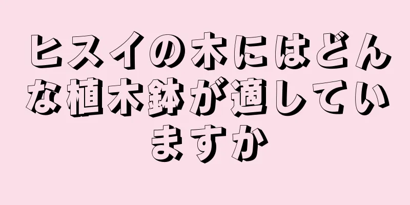 ヒスイの木にはどんな植木鉢が適していますか