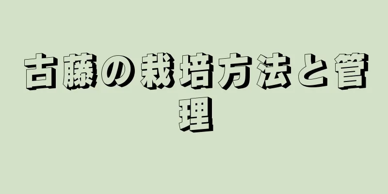 古藤の栽培方法と管理