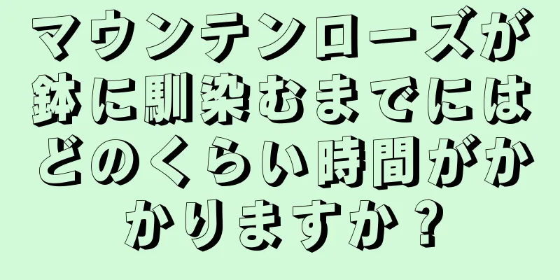 マウンテンローズが鉢に馴染むまでにはどのくらい時間がかかりますか？
