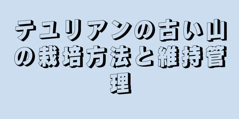 テユリアンの古い山の栽培方法と維持管理