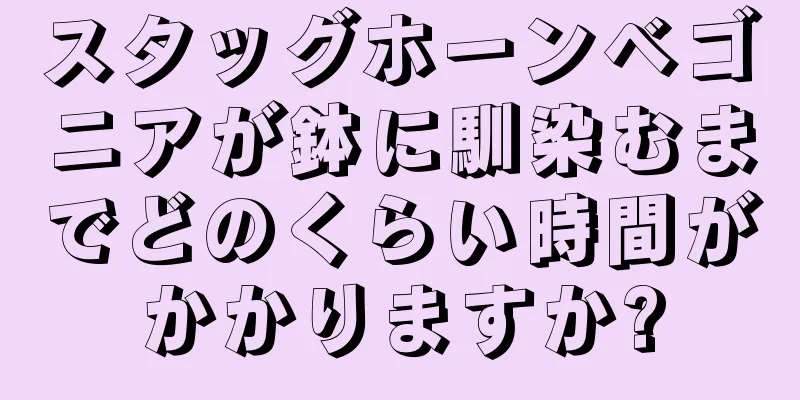 スタッグホーンベゴニアが鉢に馴染むまでどのくらい時間がかかりますか?