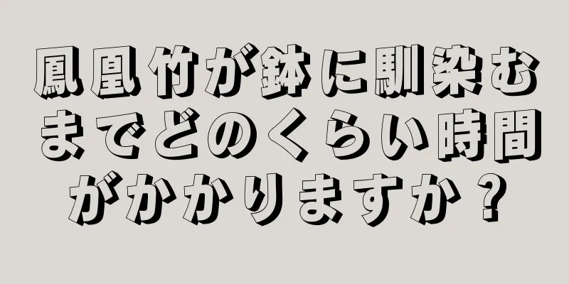 鳳凰竹が鉢に馴染むまでどのくらい時間がかかりますか？