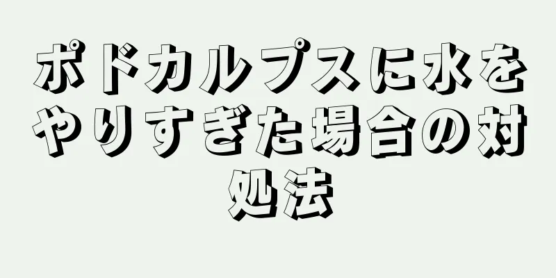 ポドカルプスに水をやりすぎた場合の対処法