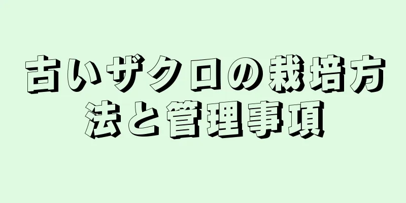 古いザクロの栽培方法と管理事項