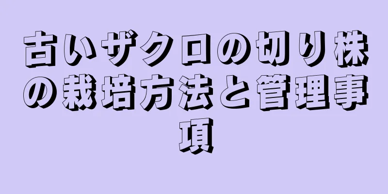 古いザクロの切り株の栽培方法と管理事項