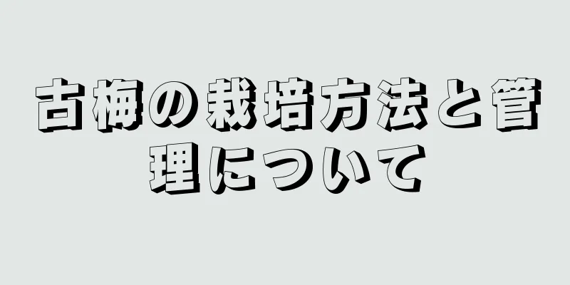古梅の栽培方法と管理について
