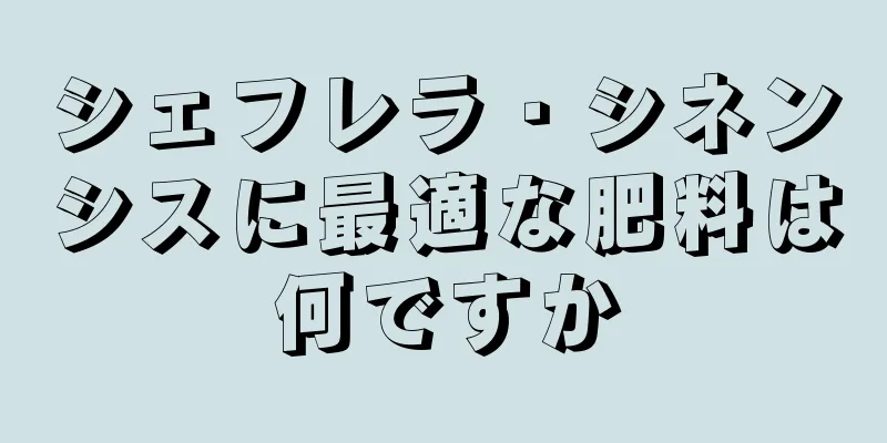 シェフレラ・シネンシスに最適な肥料は何ですか