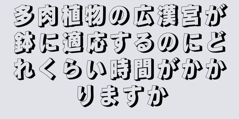 多肉植物の広漢宮が鉢に適応するのにどれくらい時間がかかりますか