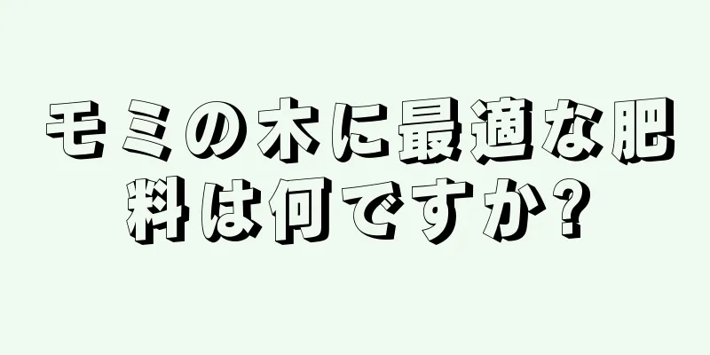 モミの木に最適な肥料は何ですか?