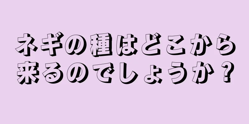 ネギの種はどこから来るのでしょうか？