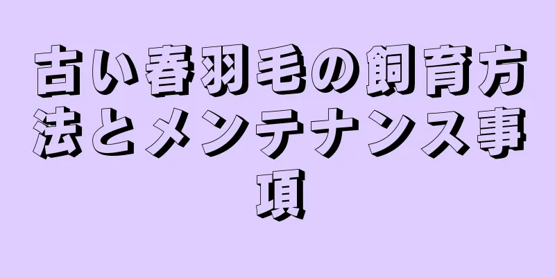 古い春羽毛の飼育方法とメンテナンス事項